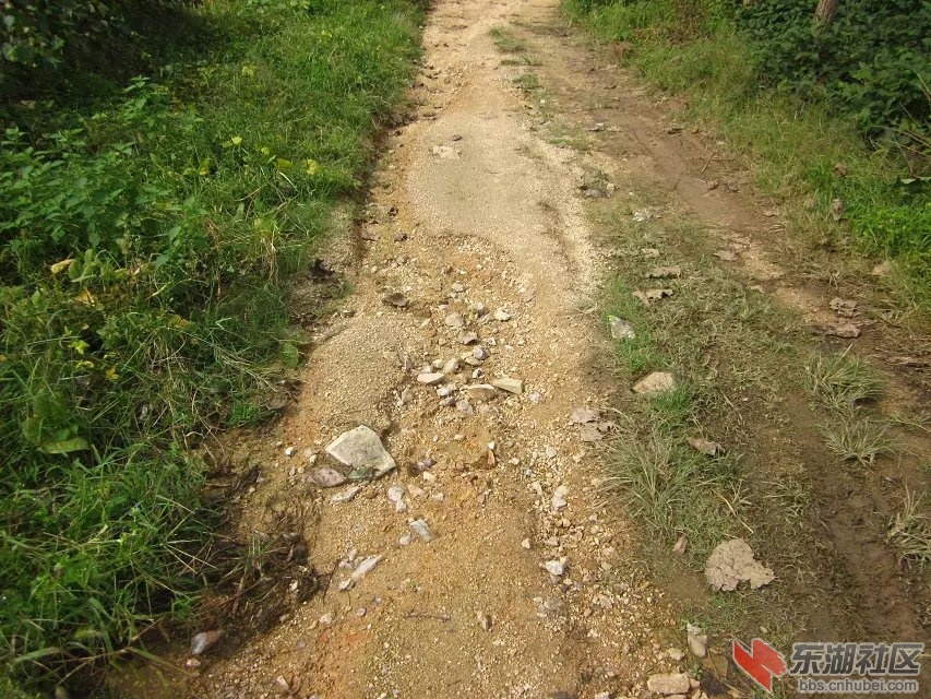 祝垸的路14.jpg