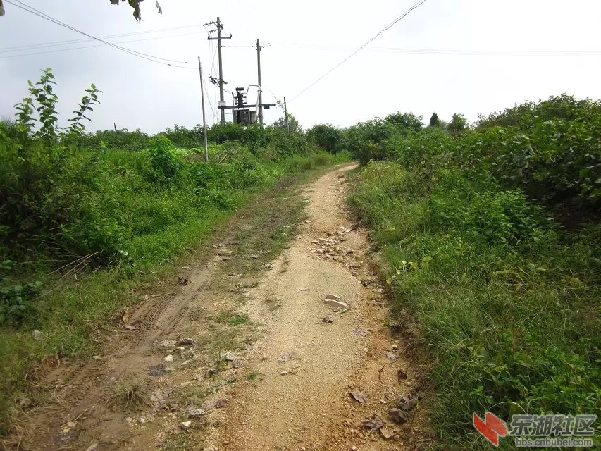 祝垸的路9.jpg