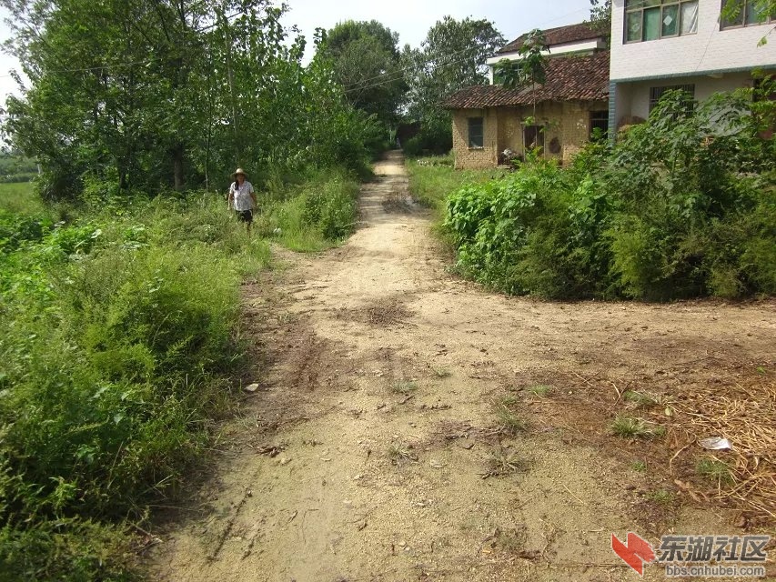 祝垸的路17.jpg