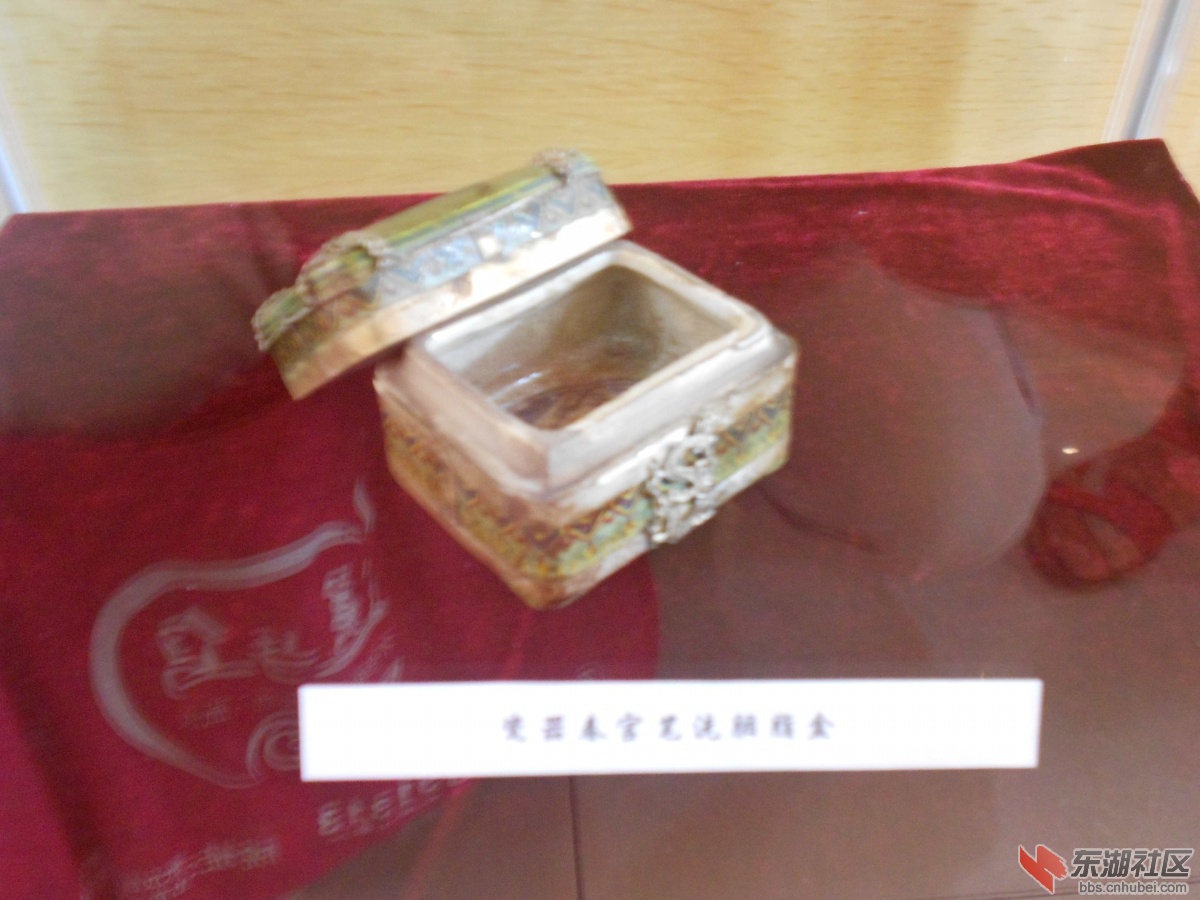 DSCN4765.jpg