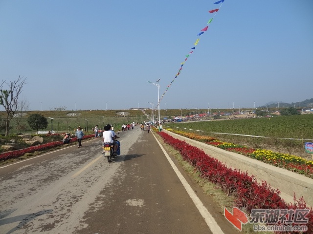 DSC04224.JPG