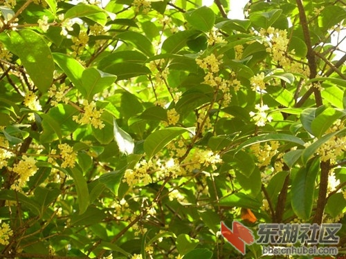 20110503235951293[1]_副本.jpg