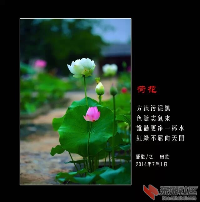 095010gg0zlaoohso0rh50.jpg