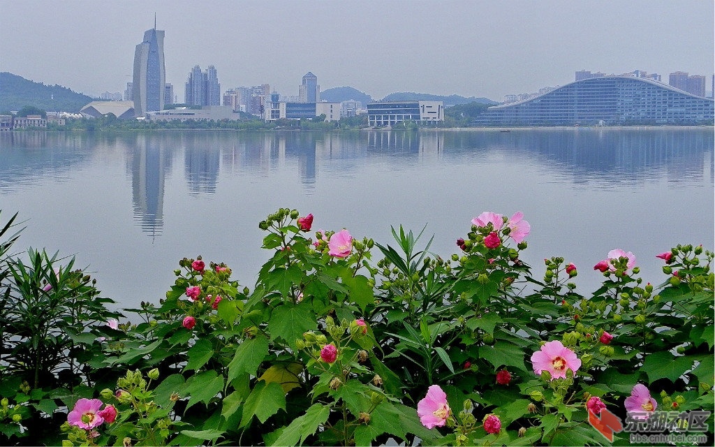 800.jpg