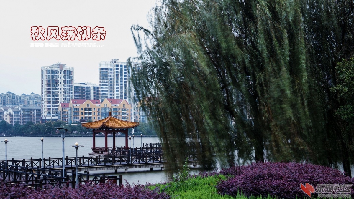 DSC_0853_副本.jpg