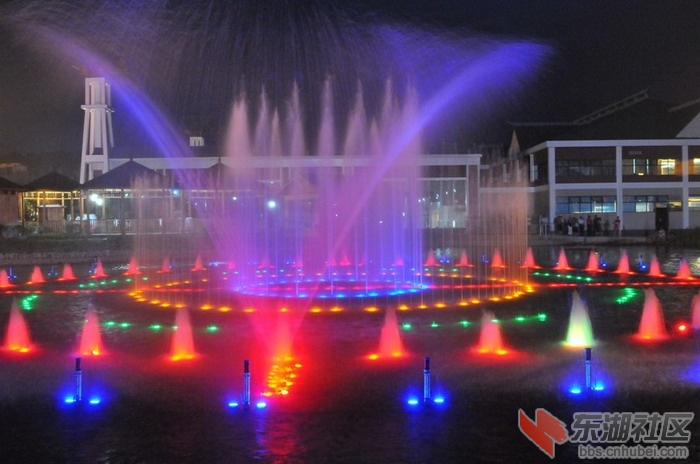 玉龙温泉夜景.jpg