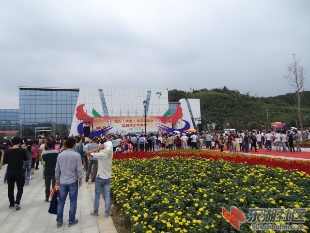 DSC04334.JPG