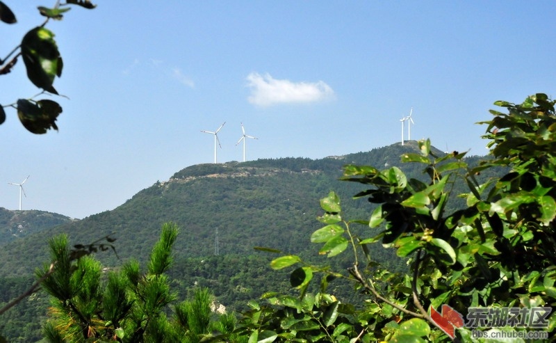 DSC_6287_缩小大小.JPG