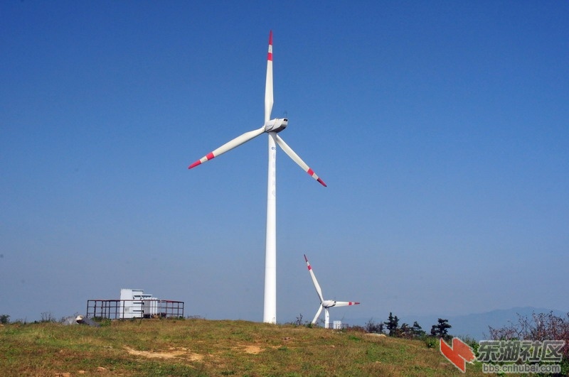 DSC_6294_缩小大小.JPG
