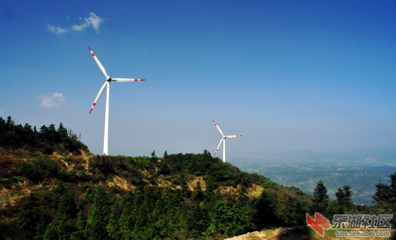 DSC_6297_缩小大小.JPG