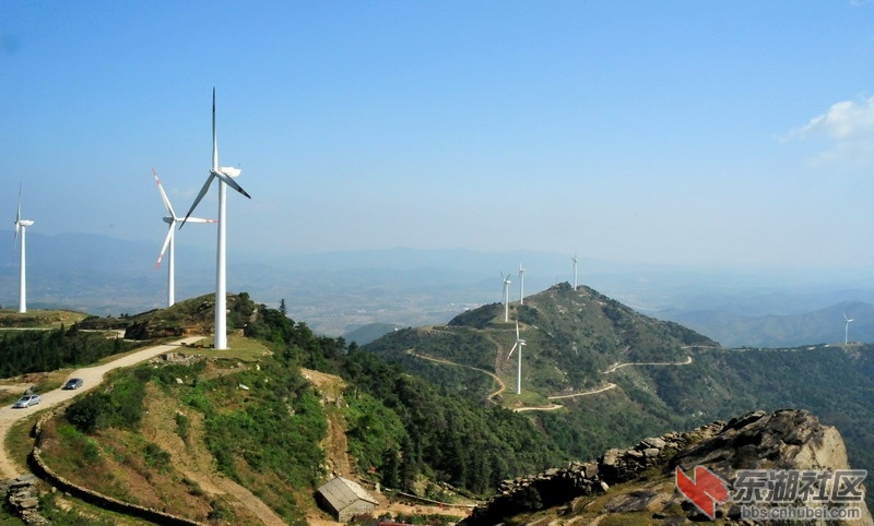 DSC_6301_缩小大小.JPG