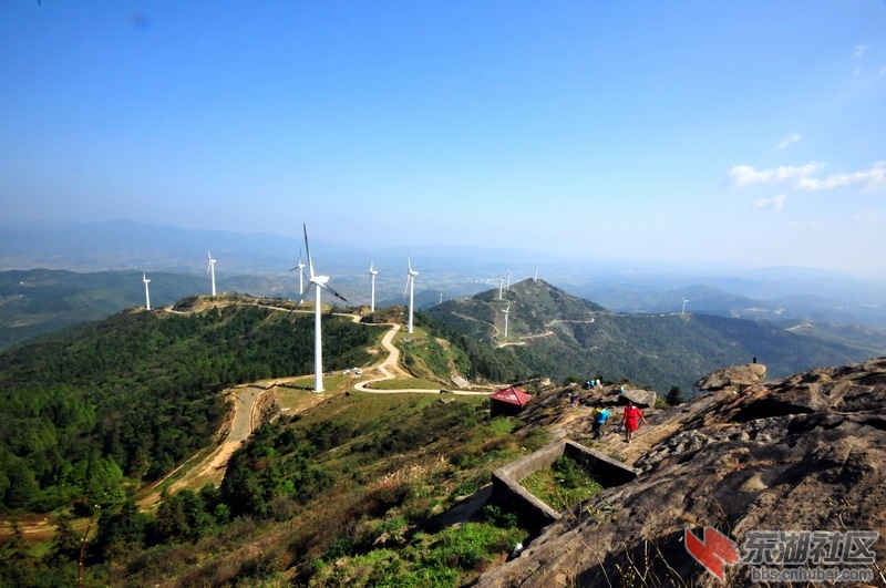 DSC_6313_缩小大小.JPG