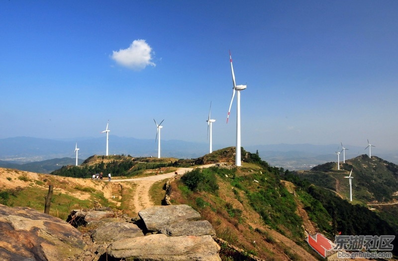 DSC_6316_缩小大小.JPG