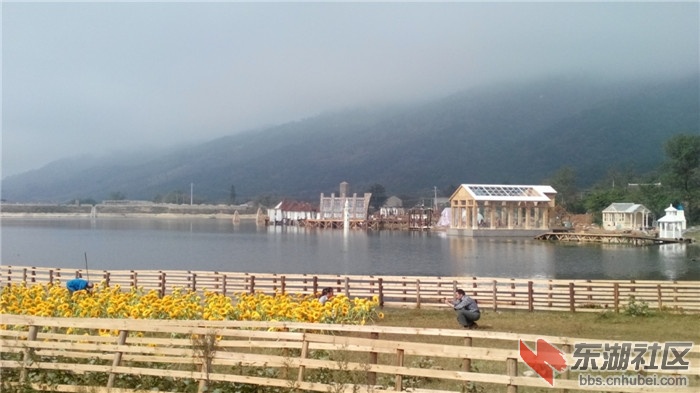 IMG_20141002_100219.jpg