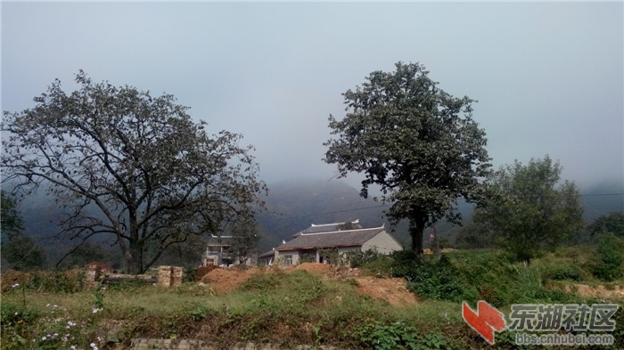 IMG_20141002_101211.jpg