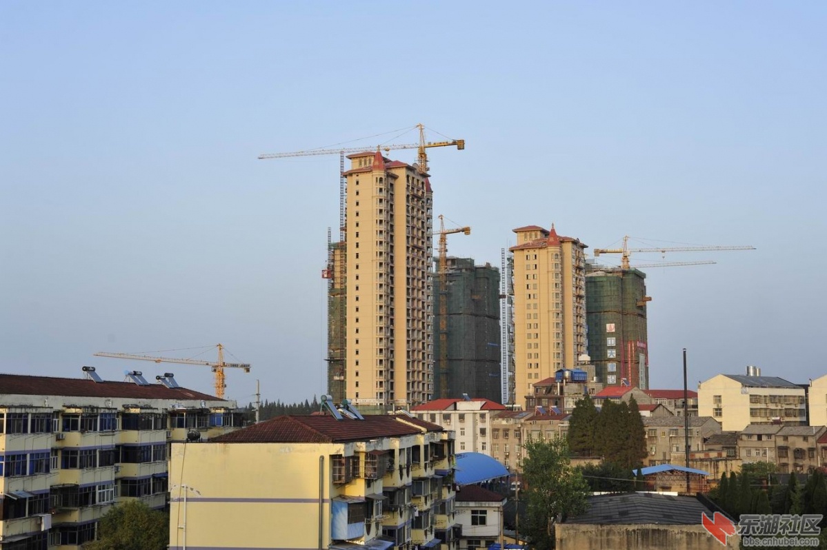 调整大小 _DSC1356.jpg