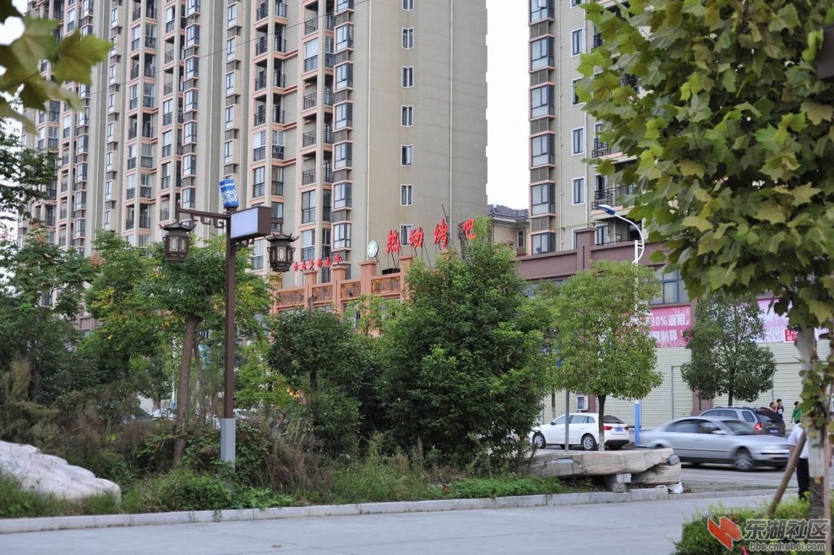 调整大小 _DSC1408.jpg