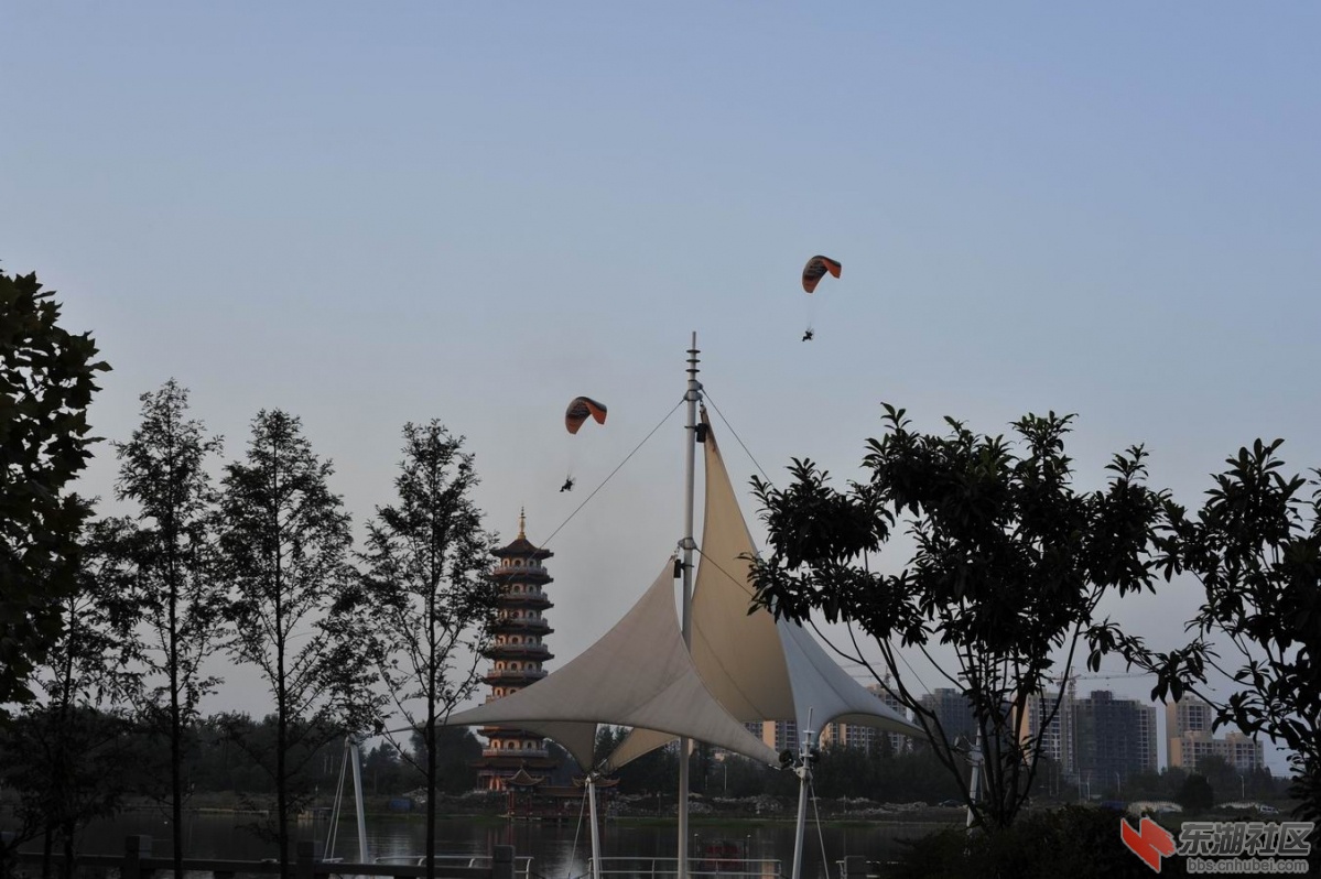 调整大小 _DSC1375.jpg
