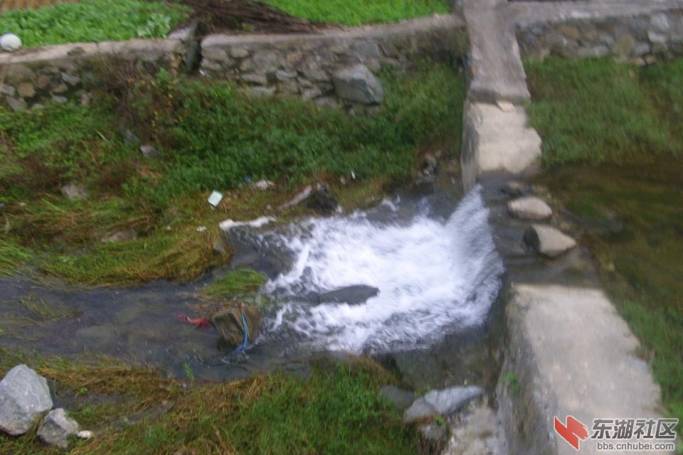psbCAHCR6A1.jpg