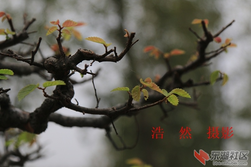 100412 044_副本.jpg