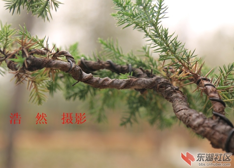 100412 038_副本.jpg
