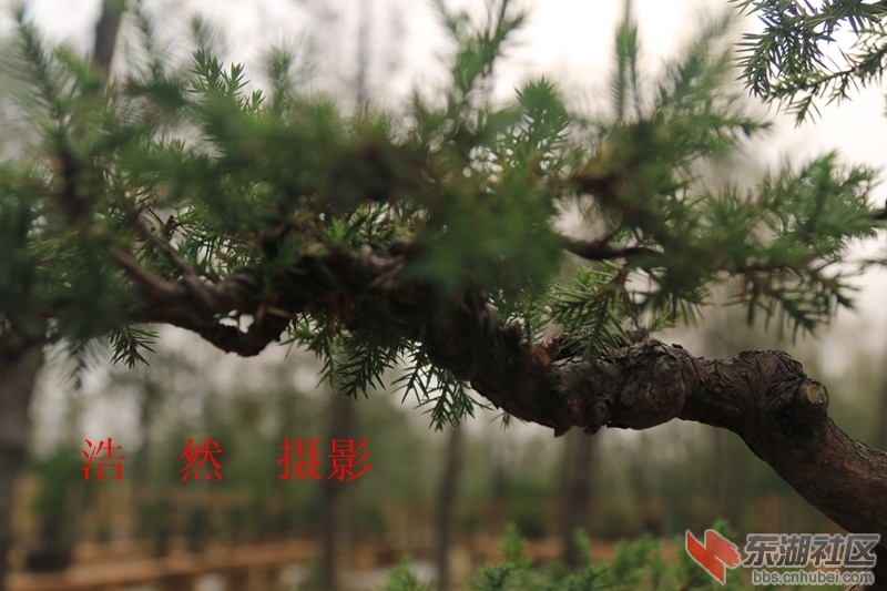 100412 039_副本.jpg
