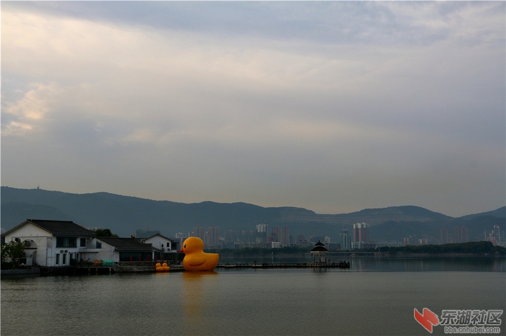 IMG_5375_dh.JPG
