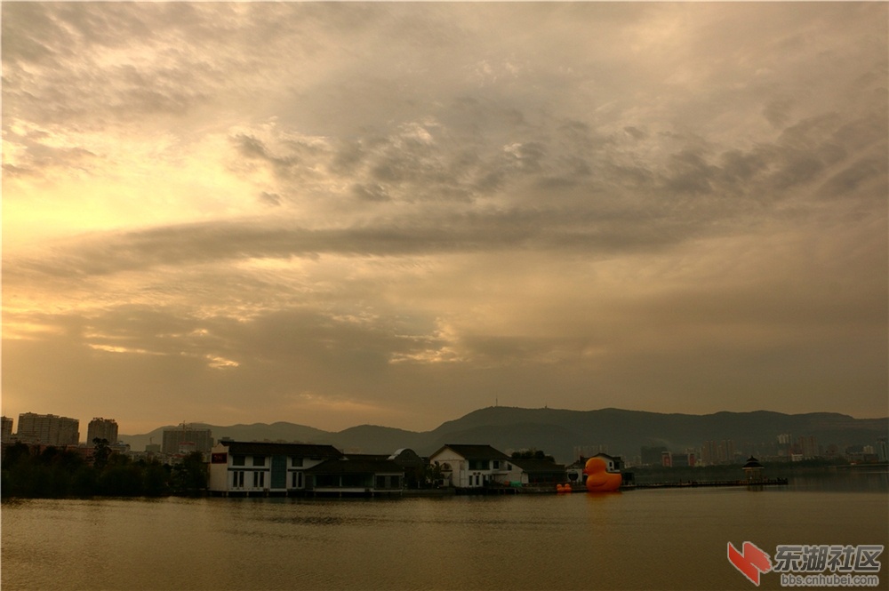 IMG_5400_dh.JPG