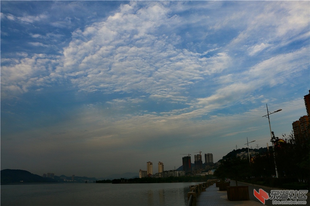 IMG_5403_dh.JPG