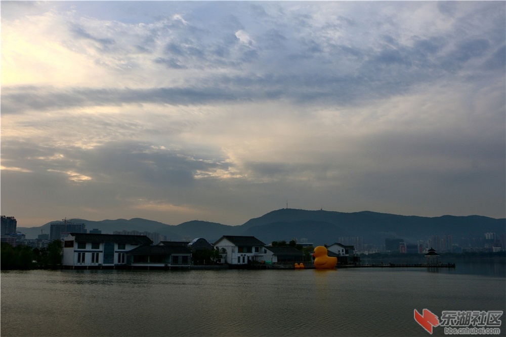 IMG_5409_dh.JPG