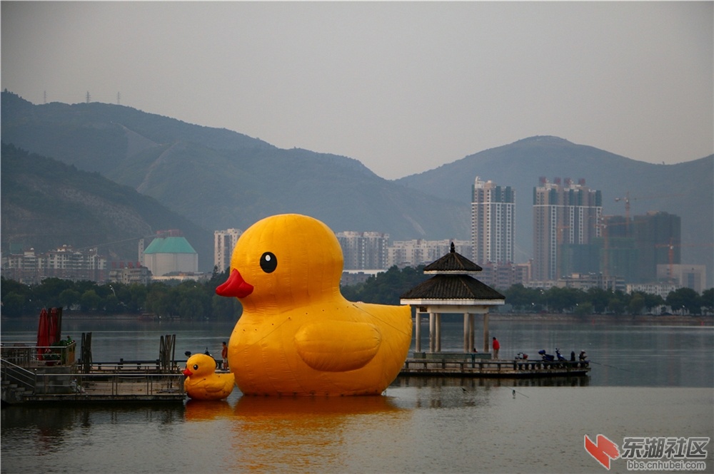 IMG_5417_dh.JPG