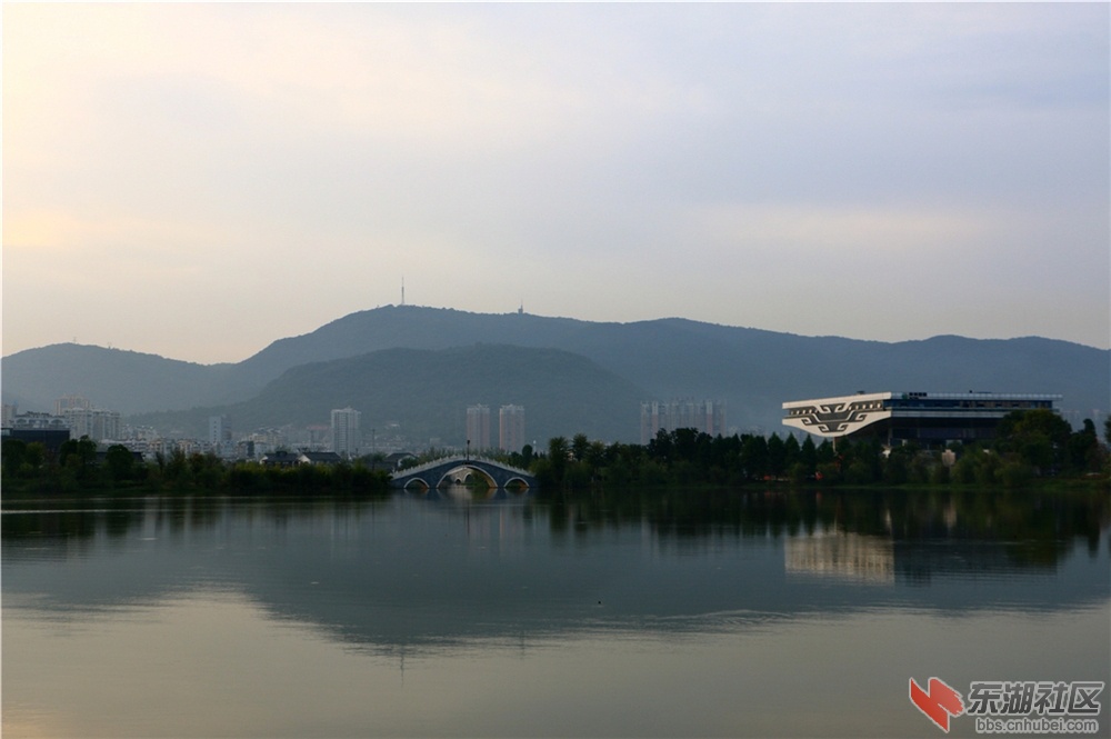 IMG_5438_dh.JPG