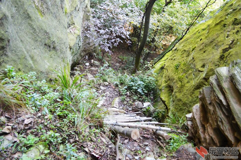 武柱峰景区木梯攀爬