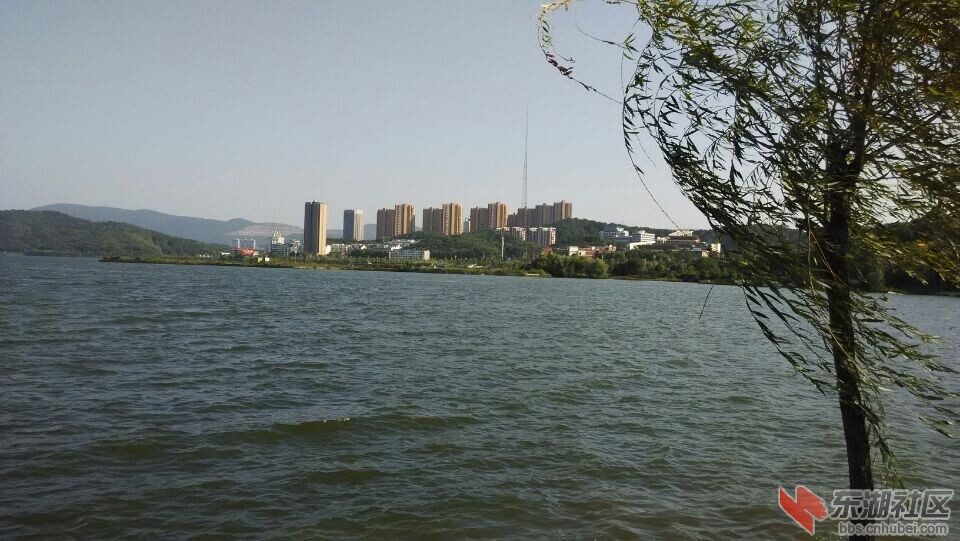 QQ图片20141006091158.jpg