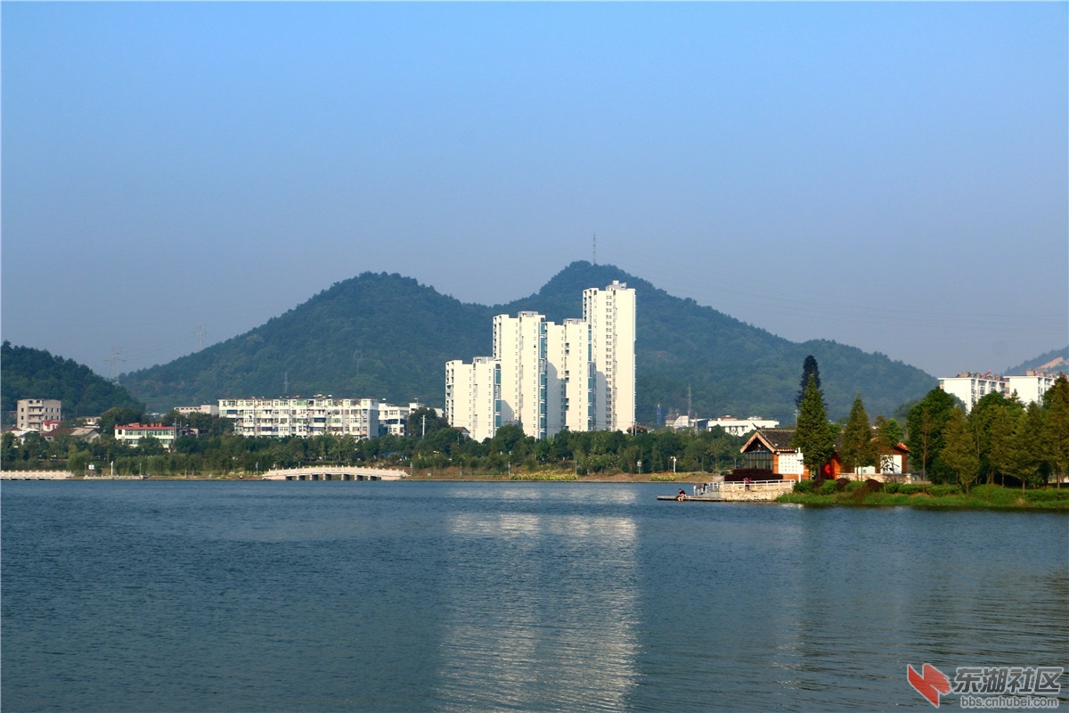 IMG_6425_dh.JPG