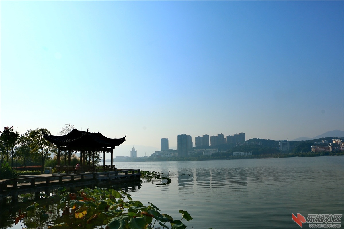 IMG_6438_dh.JPG