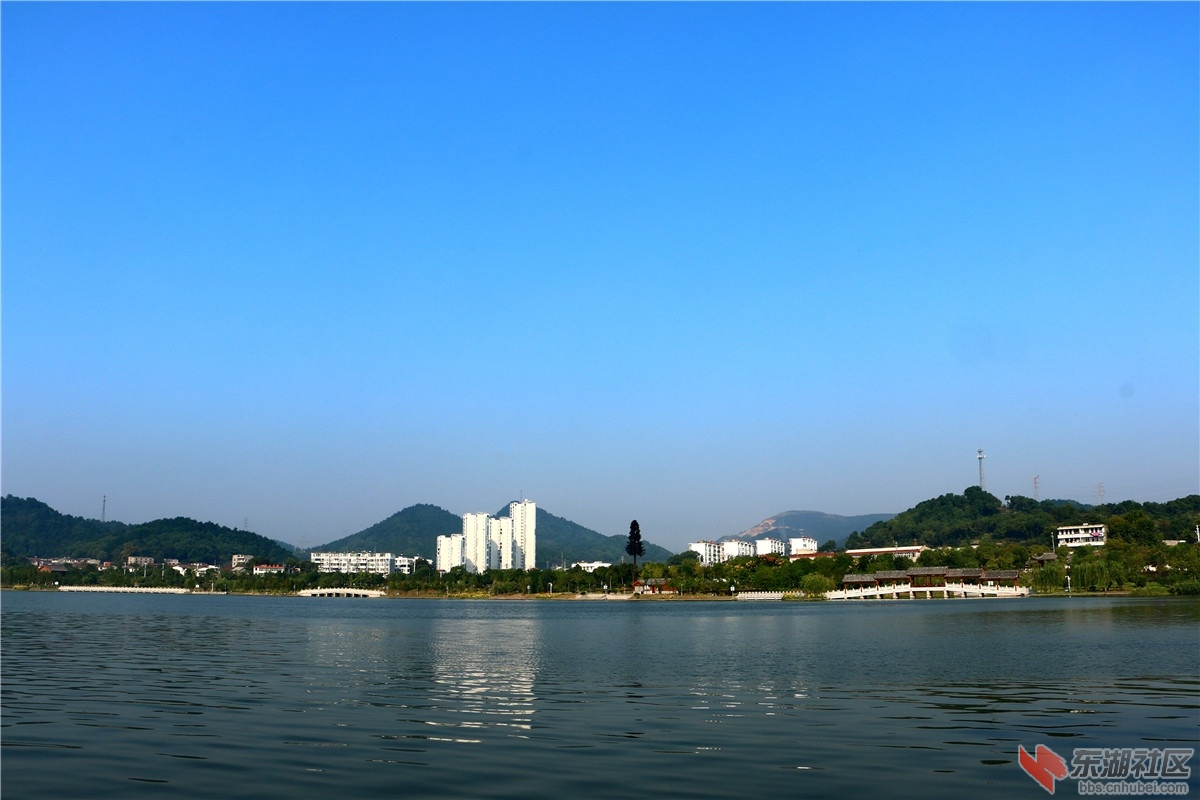 IMG_6480_dh.JPG