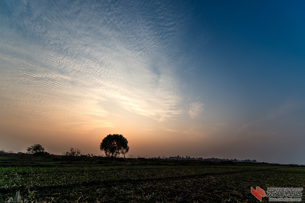_DSC0116.jpg