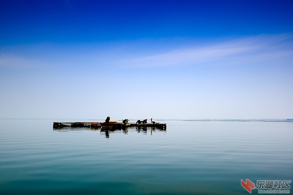 _DSC01150.jpg