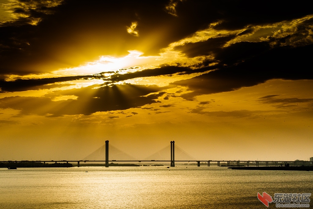 _QCK0091-(3).jpg