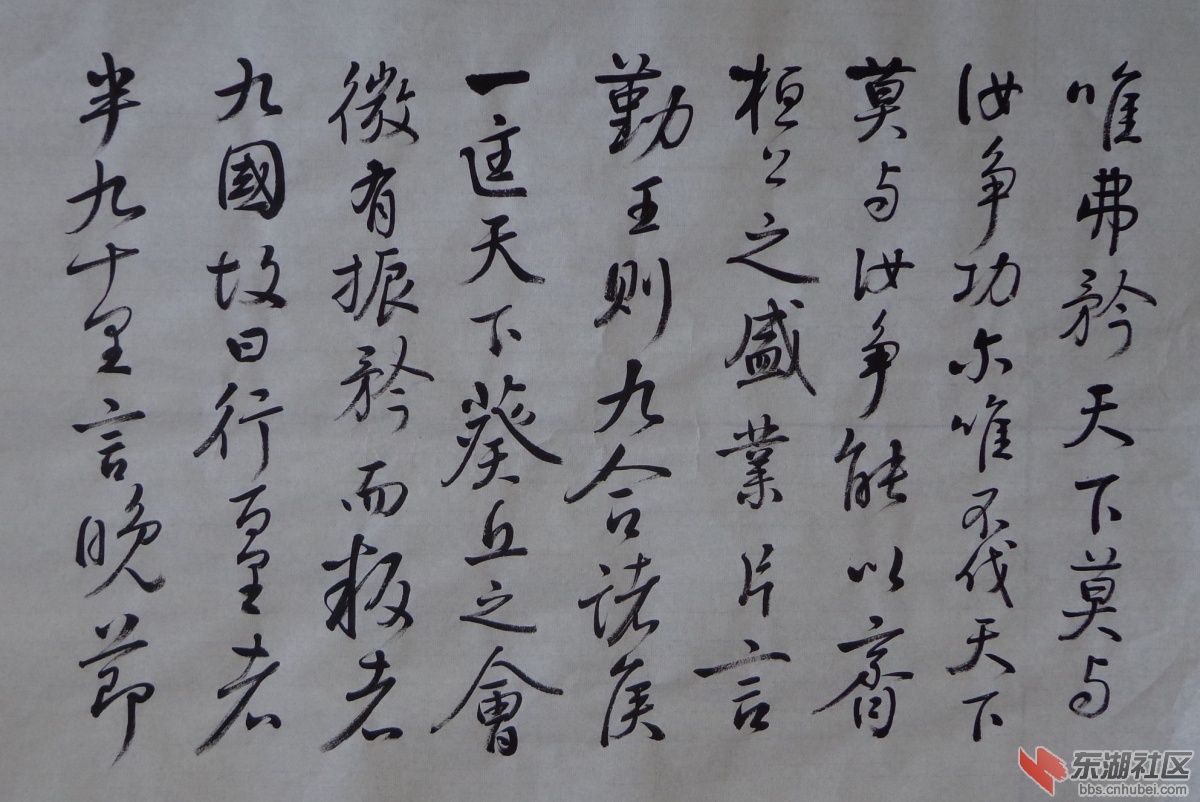 DSC02566_副本.jpg