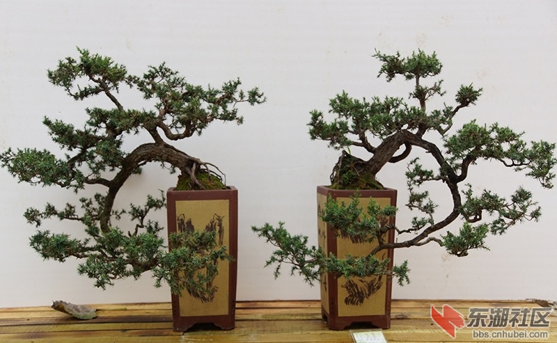 DSC01580_副本.jpg
