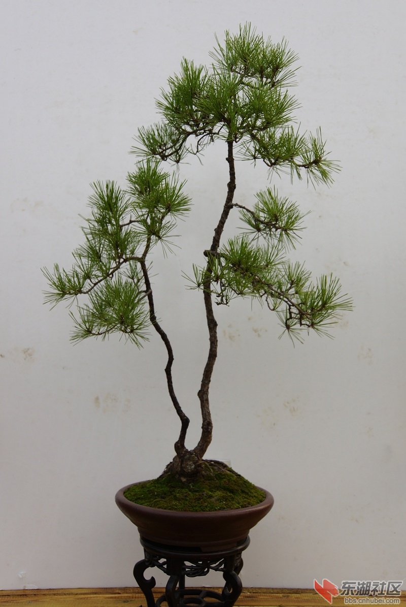 DSC01590_副本.jpg