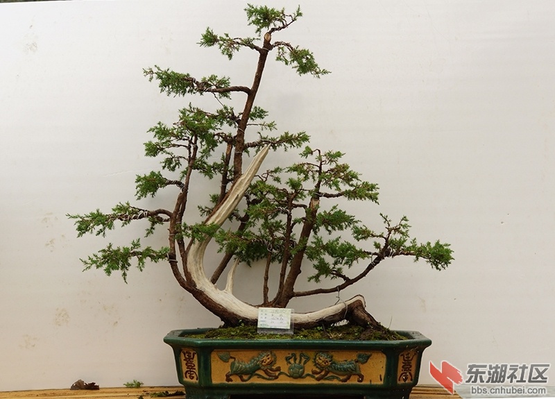DSC01600_副本.jpg