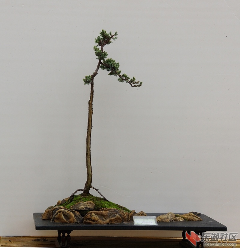 DSC01604副本_副本.jpg
