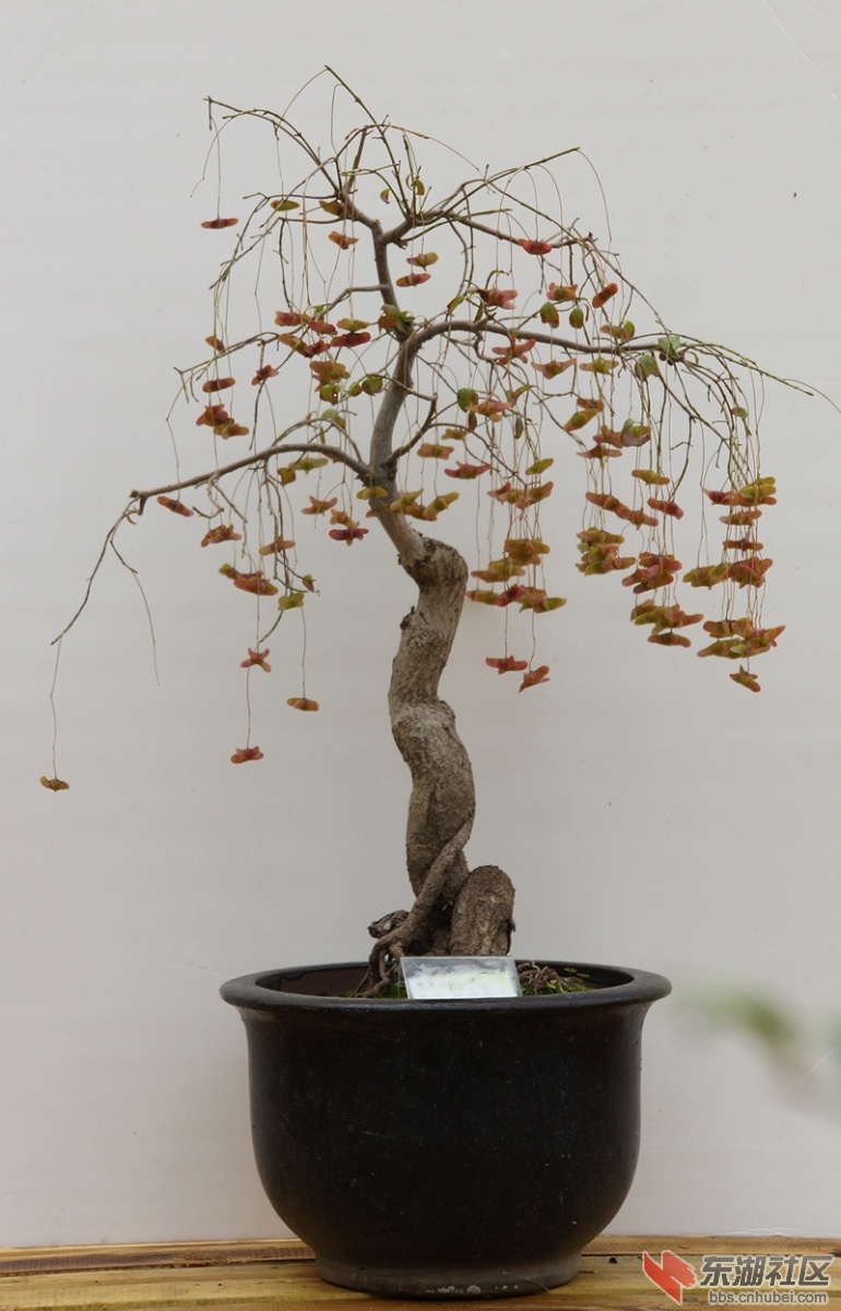 DSC01606_副本0.jpg