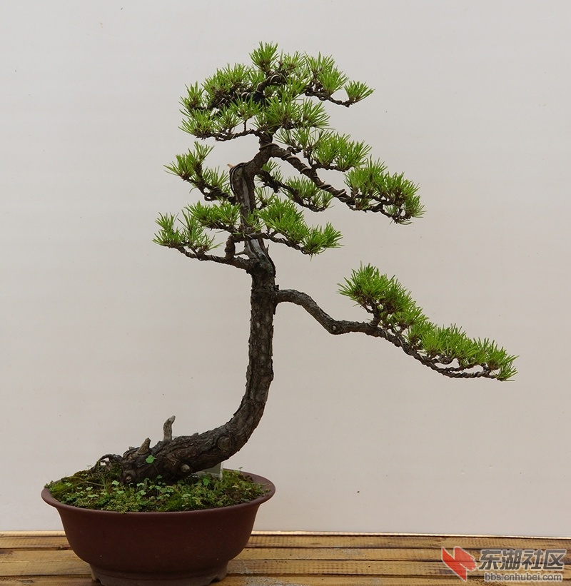 DSC01625副本_副本.jpg