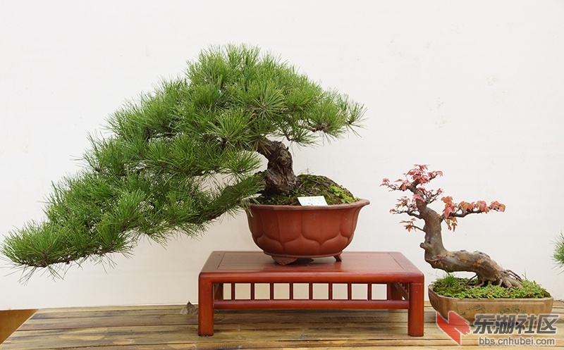 DSC01629_副本.jpg