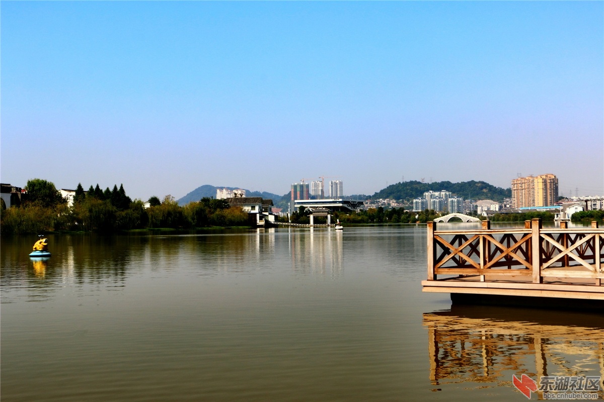 IMG_7564_dh.JPG
