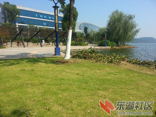20141007_103254.jpg